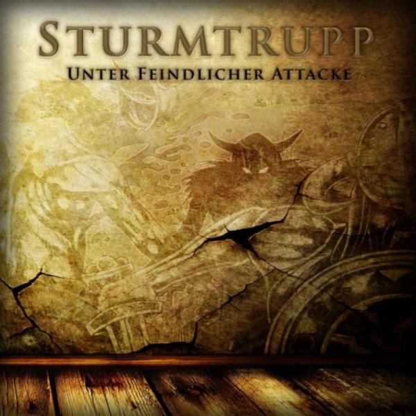 Sturmtrupp -Unter feindlicher Attacke-