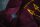 FALANGE. OXBLOOD. M