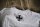 TEUTON. WHITE. XXL