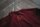 ROYAL BLOOD. OXBLOOD. M