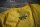 RIBELLI YELLOW L