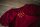 CROWN FEMALE. OXBLOOD. M