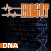 Erbgut -DNA-